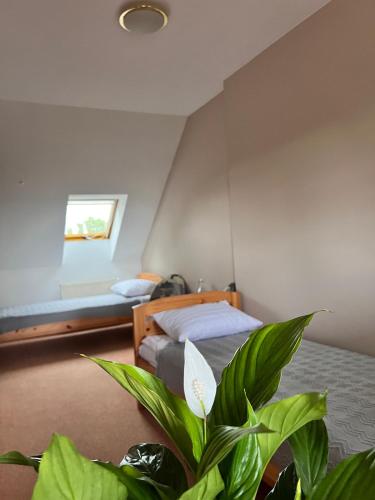 2 twin beds