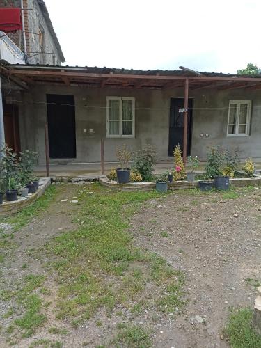 mari, Akhasheni (foto 6)