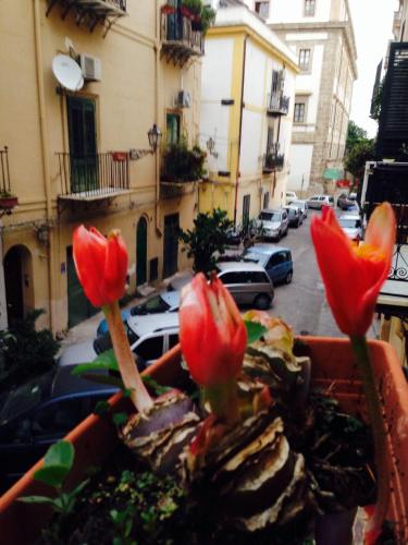 Kalza House, Palermo (foto 2)
