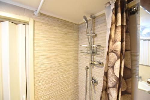 One-Bedroom Apartment image 10