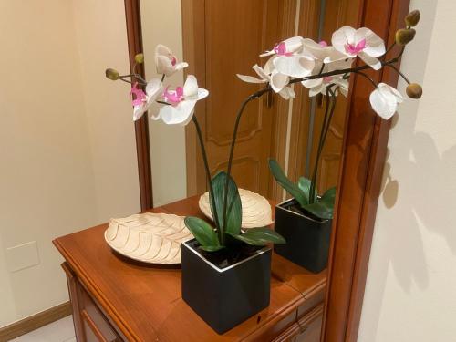 APARTAMENTO FUNCIONAL LALIN-CENTRO