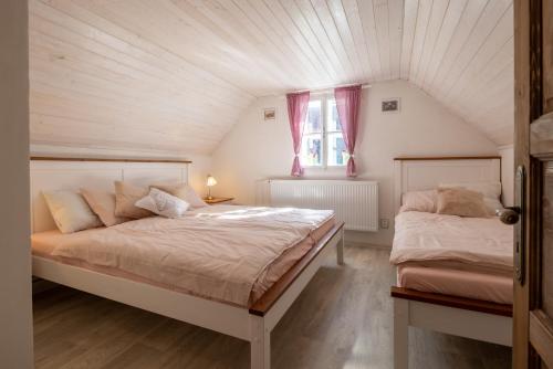 Chalupa Vítějeves (Chalupa Vitejeves) in 比斯特雷