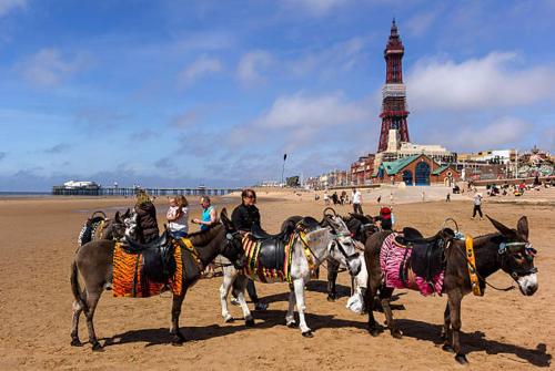 The Cosy Nook Blackpool United Kingdom
