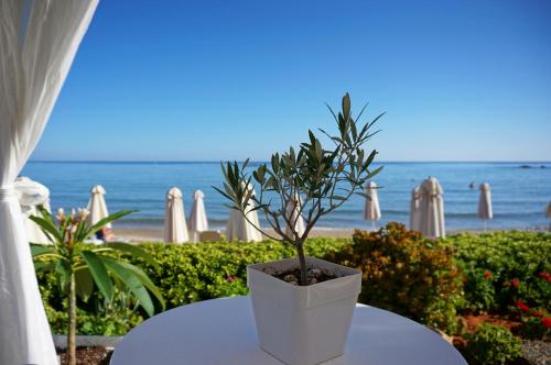 Talgo Suites - image 9