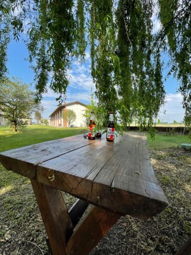 Agriturismo Cascina Mora 3