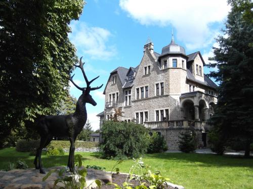 Schlosshotel Stecklenberg - Hotel - Thale