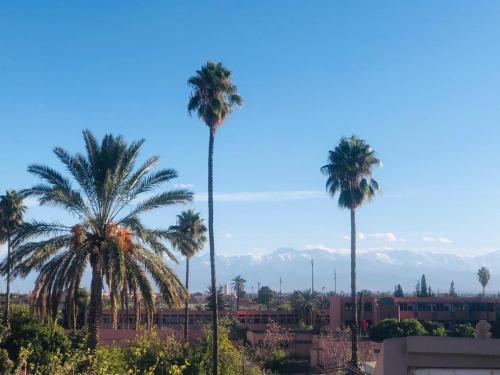 Riad CHERRATA - image 7
