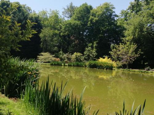 Chambre Le Notre Le Domaine Des Jardins De Bracquetuit in Grigneuseville