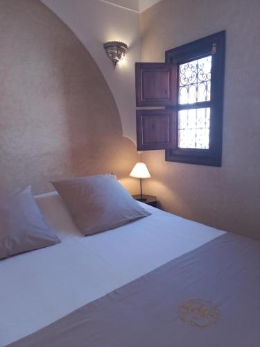 Riad CHERRATA - image 12