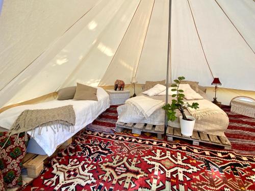 Sörby Glamping