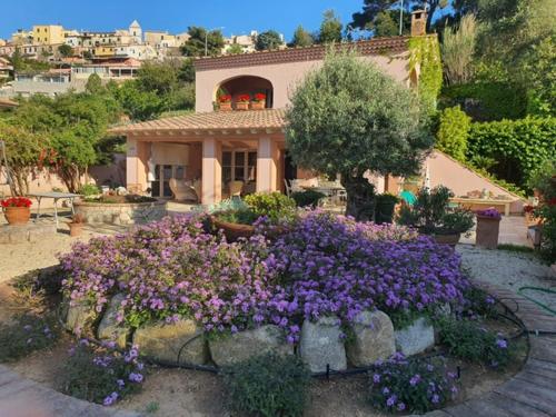 Villa San Rocco gîte à louer Capoliveri