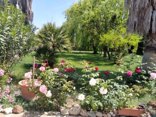  Le Rose, Pension in Olmedo bei Santa Maria la Palma