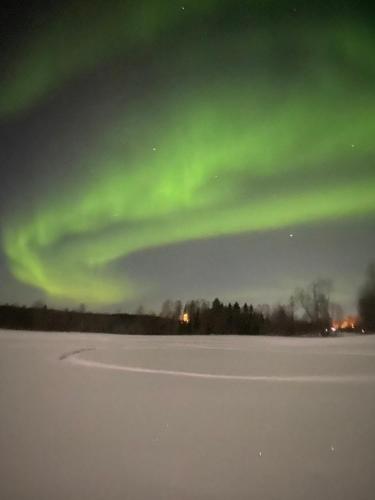 Surrounded by nature in Bjurholm