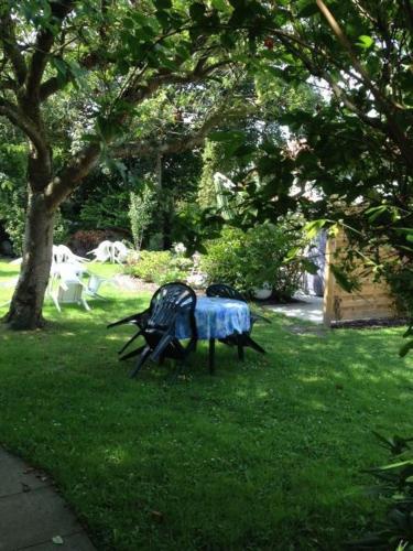 Hotel-Pension Stöber - image 8