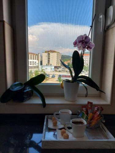 One-Bedroom Apartment image 10