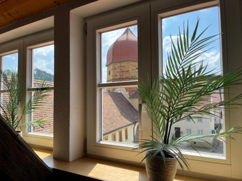 景觀, Ferienwohnung "Am Oberen Tor" in 勞海姆