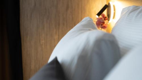 Ha Hotel Mostar - image 13