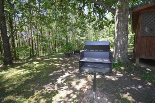 Bear Country - image 4