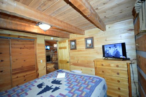Bear Country - image 11