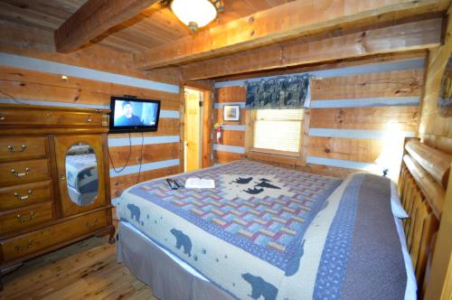 Bear Country - image 14