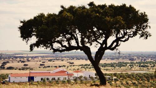 Sesmarias Turismo Rural & SPA - image 8