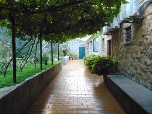 Villa Jelka Apartment — other in Na ratu 1, Zaton, 20236, Croatia