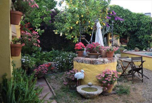 Casa Rural Don Álvaro de Luna - image 7