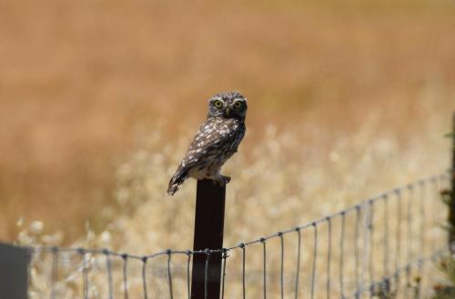 Casa Rural Don Álvaro de Luna - image 6