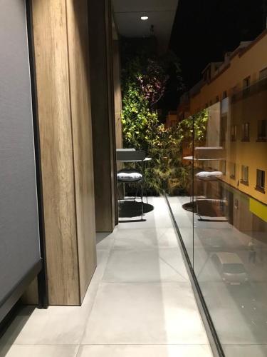 ZEN GARDEN - Tap to explore photos