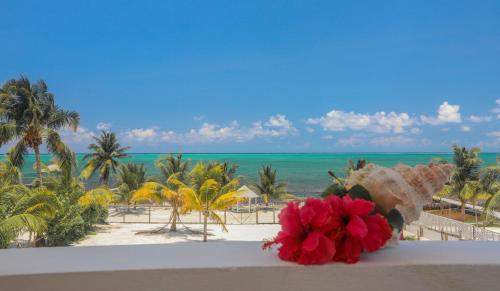 Treetops Hotel, Caye Caulker