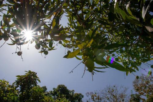 Entre Bosques Tayrona