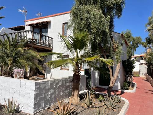 Parque Holandés Fuerteventura casa Mayte