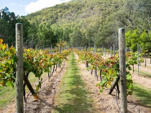 Barney Creek Vineyard Cottages