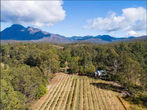 Barney Creek Vineyard Cottages