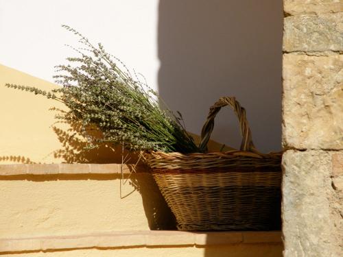  Holiday home Cielsereno in Radicondoli