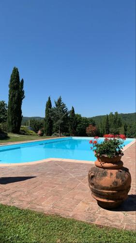 Accommodation in Lucignano