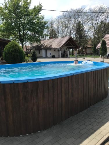 Swimming pool, Tolgyfa Vendeghaz in Kiskoros