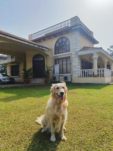 SaffronStays Minerva - 100 percent pet-friendly pool villa with huge lawn