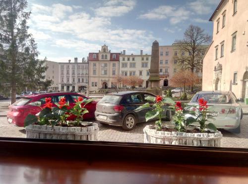 RadkowRynek21 - Apartment - Radków