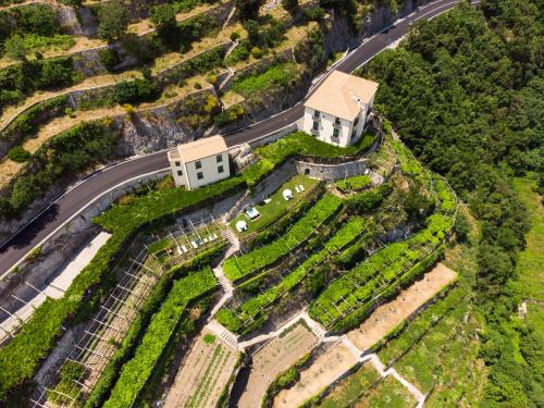 Limoneto Di Ercole - image 6