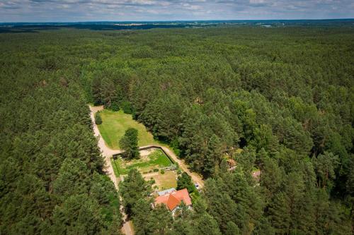 Mazurska Leśniczówka Nowy Zyzdrój - image 11