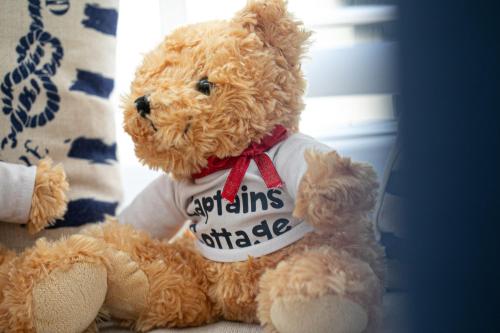 Captains Cottage - Stylish cottage, level location, in the heart of Dartmouth