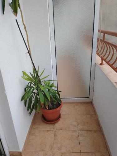 Guest House Pepi - image 13