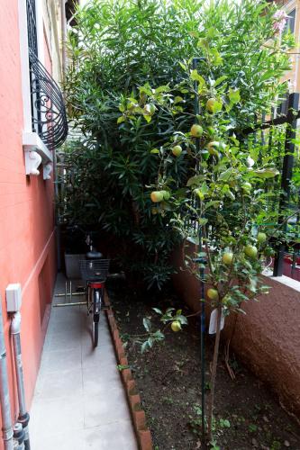 B&B Villa Emilia Milano - image 10