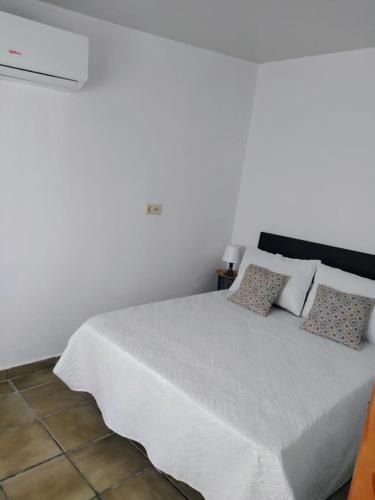 CASA Rey Don Pedro, Córdoba (photo 10)