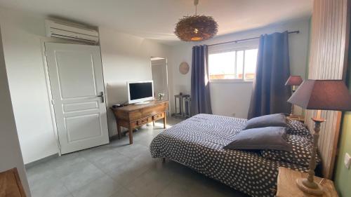 Maison porto vecchio - lecci - image 14
