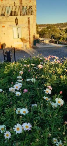 San Martin Wellness Retreat (Tas Sienja)