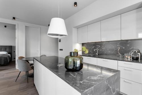 Modern Apt in Central Reykjavík, Reykjavík (fotografie 9)