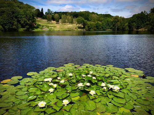 Private lake & gite surrounded by acres of nature