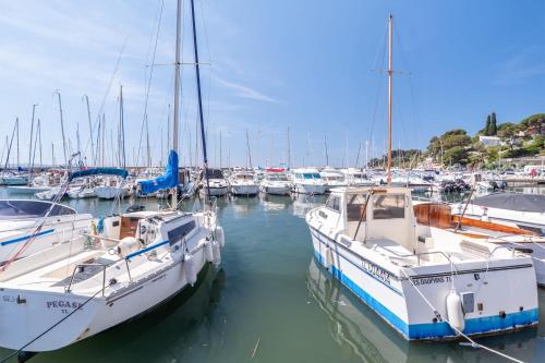 Magnifique studio avec TERRASSE- PROCHE DE LA MER! - Location saisonnière - Carqueiranne